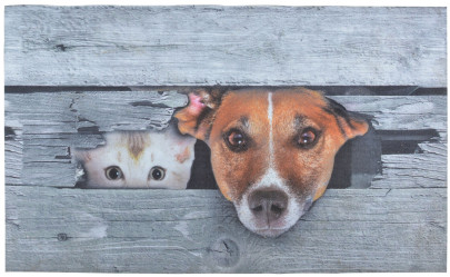 Esschert Design Türmatte Kuckuck! Hund & Katze, 75 x 45,5 x 0,2 cm, aus Polyester, Fuß Abstreifer 