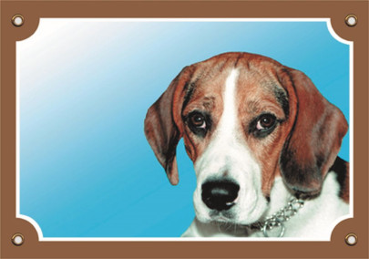 Nobby Warntafel Beagle, 1 Stück 