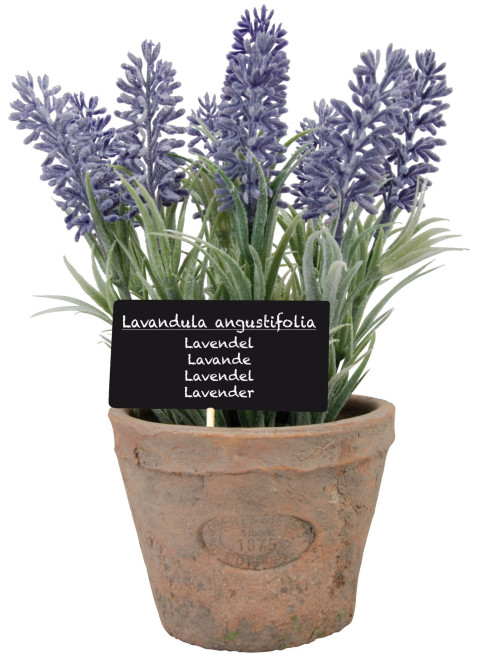 3 Stück Esschert Design Kunststoffpflanze Lavendel im Topf, Größe L, ca.11 cm x 11 cm cm x 22 cm