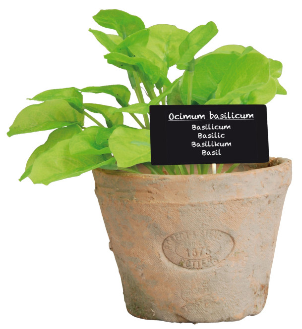 Esschert Design Kunststoffpflanze Basilikum im Topf, Größe L, ca. 11 cm x 11 cm x 19 cm